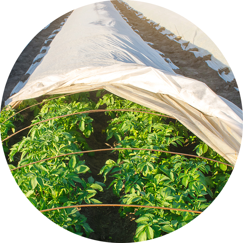 Agriculture